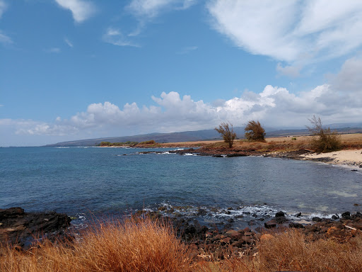 Kauai Wildlife Reserve - Thumbnail