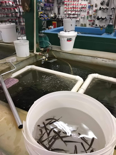 Tom's Bait and Tackle - Thumbnail