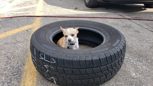 Down River Tire - Thumbnail