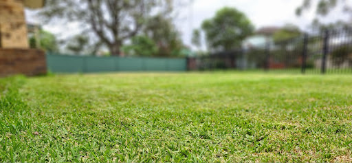 Ivan's Mowing