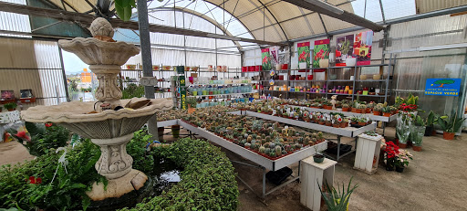 Espacio Verde - Visual