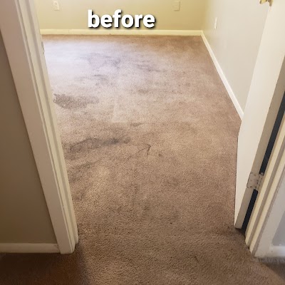 Luxury steam carpet cleaning