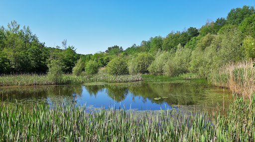 Zwölfweiherweg - Visual