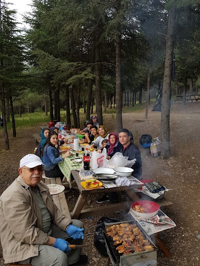 Saray İçi Aile Piknik Yeri