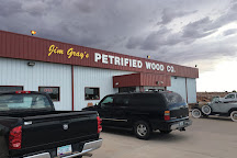Jim Gray's Petrified Wood Co., Holbrook, United States