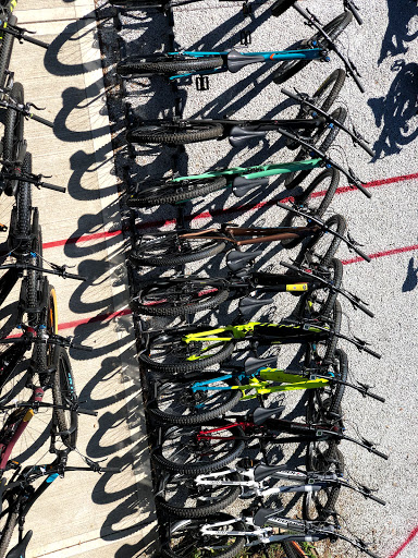Scavezzon bicycles - Bicycles Shop Gallery - Italy