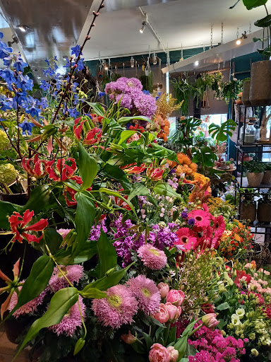 Pimpernel Bloemen & Wonen - Thumbnail