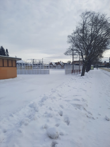 Esposito Park & Outdoor Rink