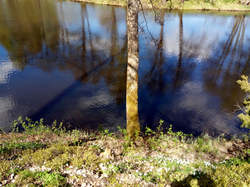 Ringbadet - Visual