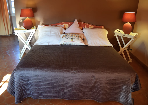 Photo de Domaine de la Dragonette : Location gîte de charme en Provence avec piscine à Entraigues-sur-la-Sorgue (84320)