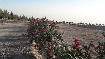 Haji Anwar Masjeed