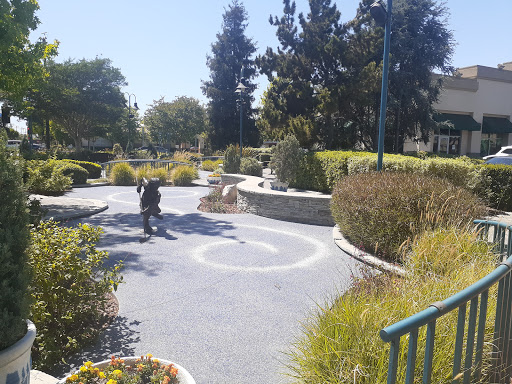 Paramount / Jackson - Visual