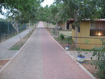 Photos of Birds Park / Birds Reaserch Center. Hambantota