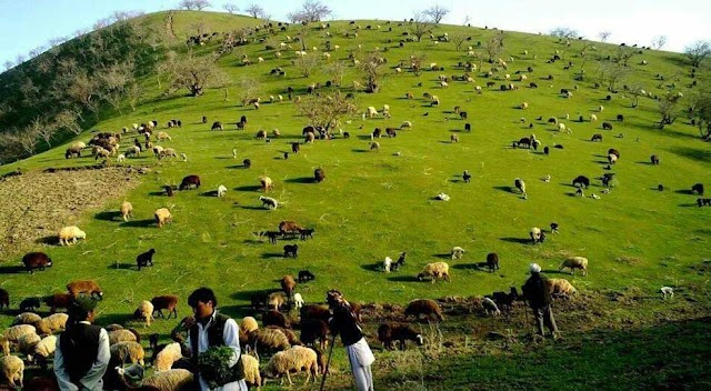 Afghanistan