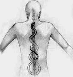 Photo n°1 de Grégory LECHAUX - Ostéopathe DO - Cabinet D'ostéopathie à Les Angles (Ostéopathe)