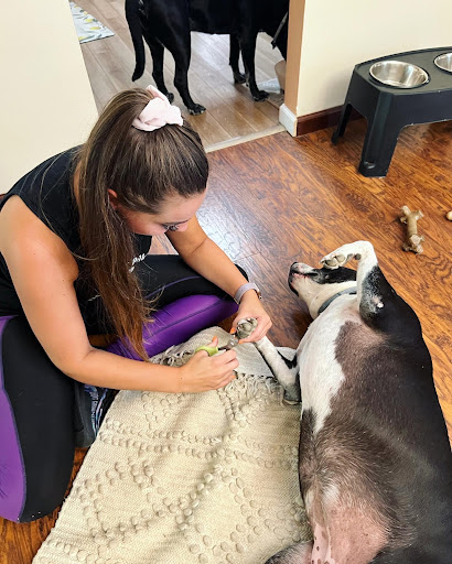 Perfect Paws House Calls Gallery - United States