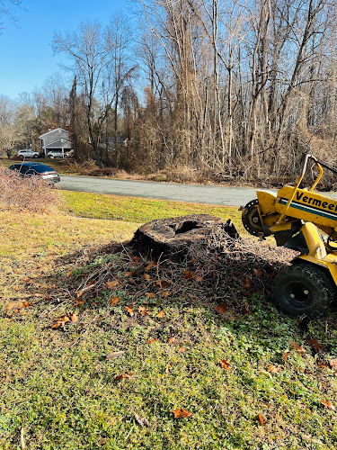 Matt G stump removal LLC
