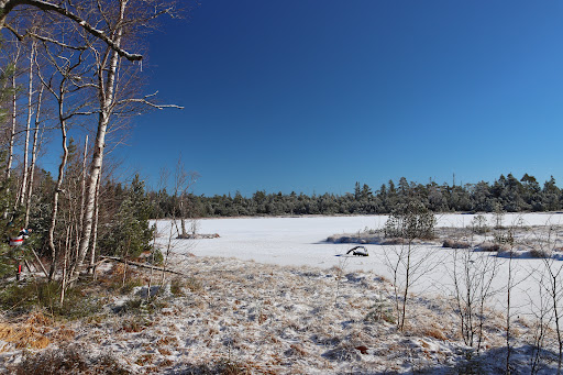 Wildseemoor - Thumbnail