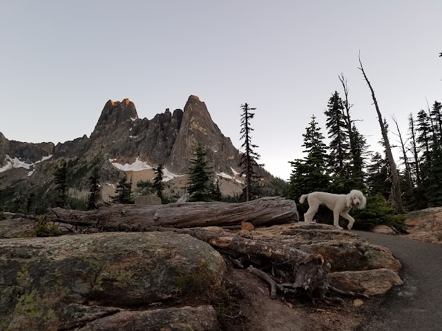 Washington Pass Observation Site