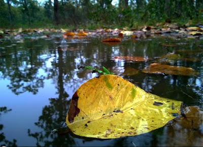 Photos of Rhino Lake