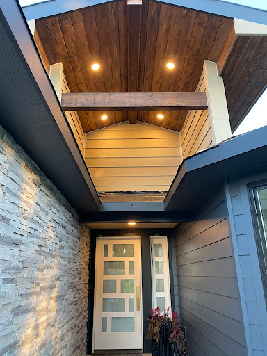 Silver Pine Electric - Visual