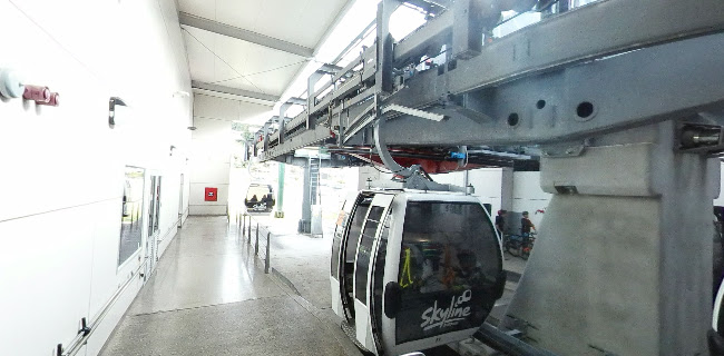 Reviews of Skyline Rotorua in Rotorua - Museum