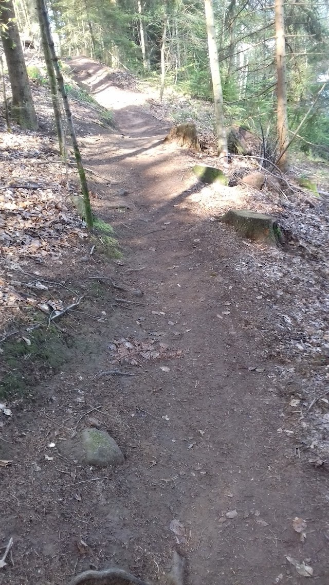 point de vue à Pierre-Percée