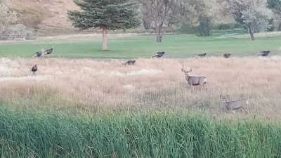 Meeker Golf Course