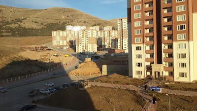 Photos of Home