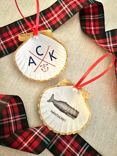 ACK 4170 - Visual