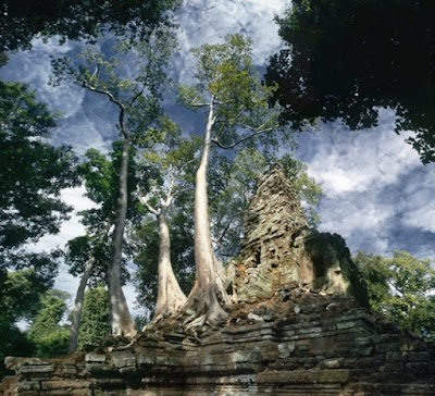 Photos of Mangalartha or East Prasat Top