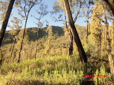 Photos of Gunung Arjuna