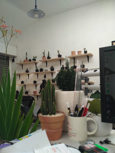 Photos of Cactia