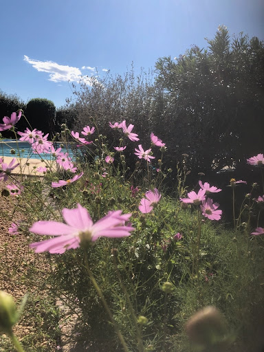 Photo de la parenthèse provence à Visan (84820)