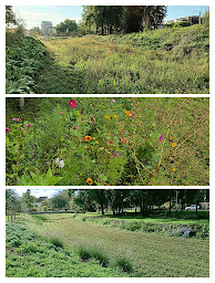 Photo n°2 de SARL FOUGEAT ENVIRONNEMENT à Sainte-Magnance (Paysagiste)