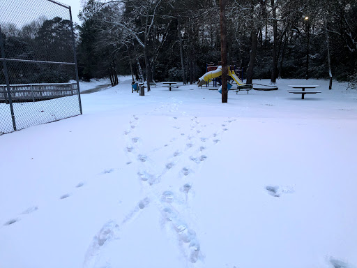 Roberson Park - Thumbnail