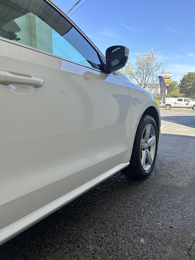 Wolf Collision Limited - Thumbnail