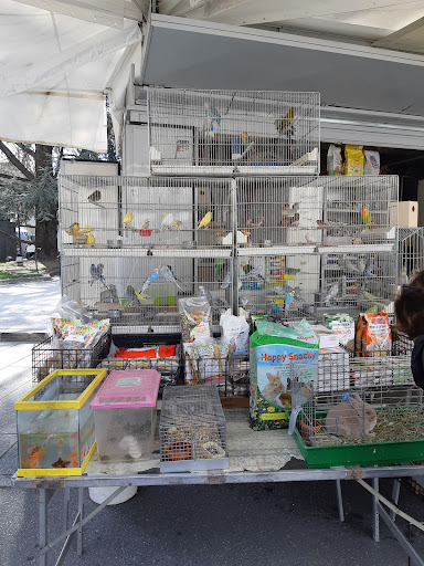 Mercato di Lecco - Thumbnail