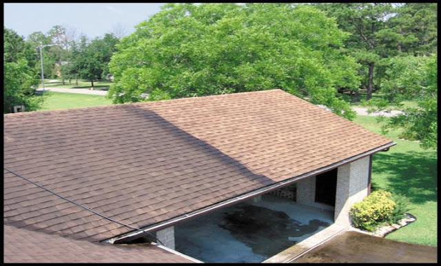 Tampa Palms Roof Cleaning