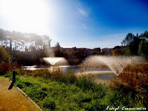 Photo n°6 de Rebeyl Communication à Saint-Mathieu-de-Tréviers (Concepteur de sites Web)