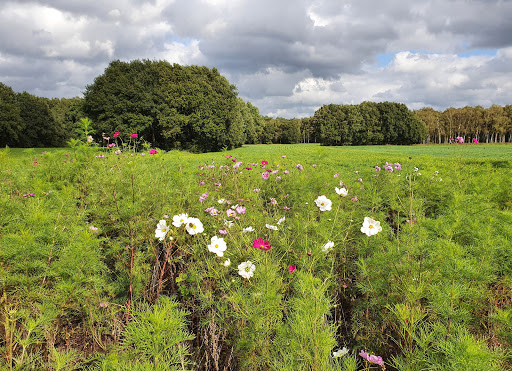 Goois Natuurreservaat Naarder Eng - Thumbnail
