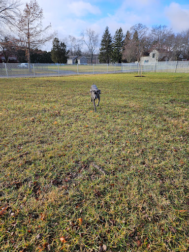 Ali's Dog Park - Thumbnail