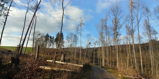 Wutöschingen - Thumbnail