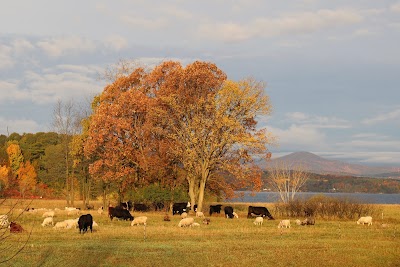 Scuttleship Farm