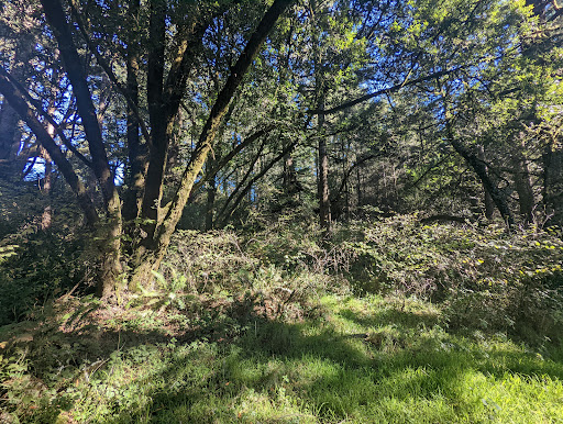 Olema Valley Trail - Thumbnail