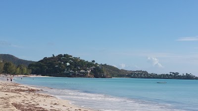 Photos of Jolly Dive
