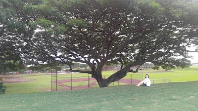 Wailuku Elementary School Park