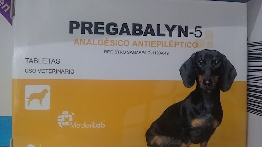 Veterinaria Animal Farm
