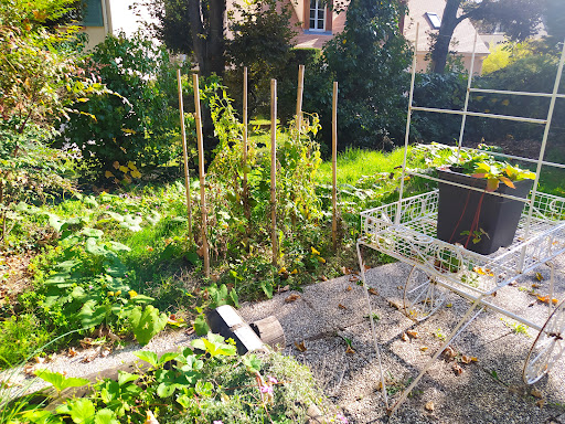 Photo de Maison de Retraite Léon Maugé à Verrières (10390)