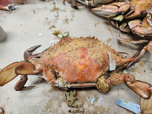 OCM Crabs - Thumbnail